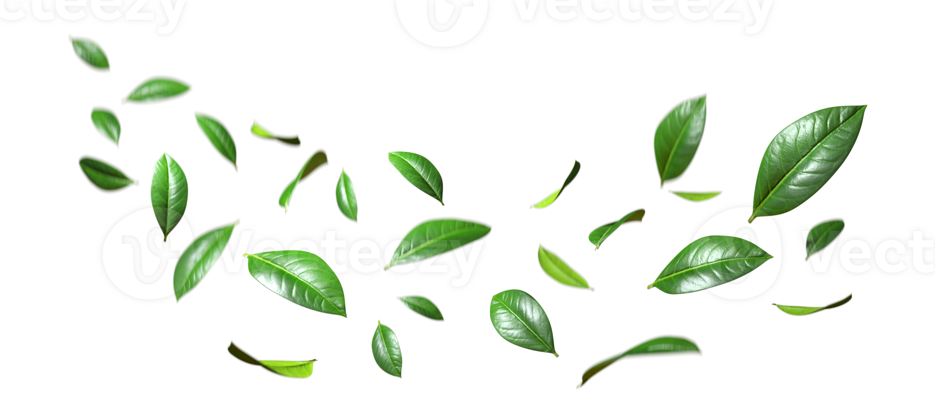 Realistic green leaves movement flying isolate on transparent backgrounds 3d rendering png
