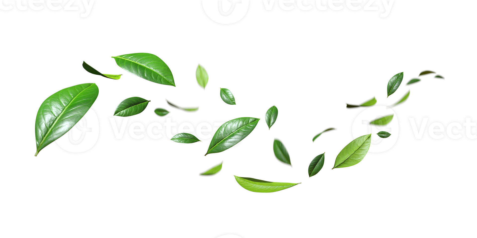 Flying realistic green leaves dancing flow isolate 3d render png