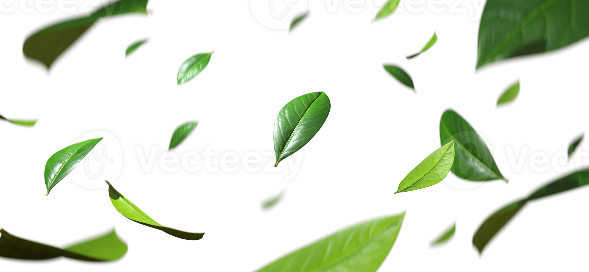 Fresh leaves flying in the purified air cutout backgrounds 3d render png