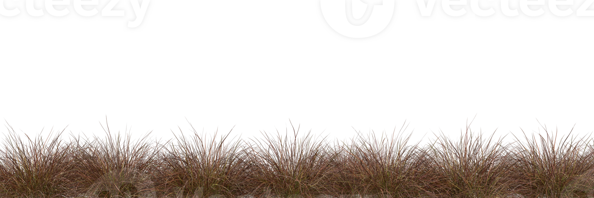 Savanna grass meadow field row cutout transparent backgrounds 3d render png