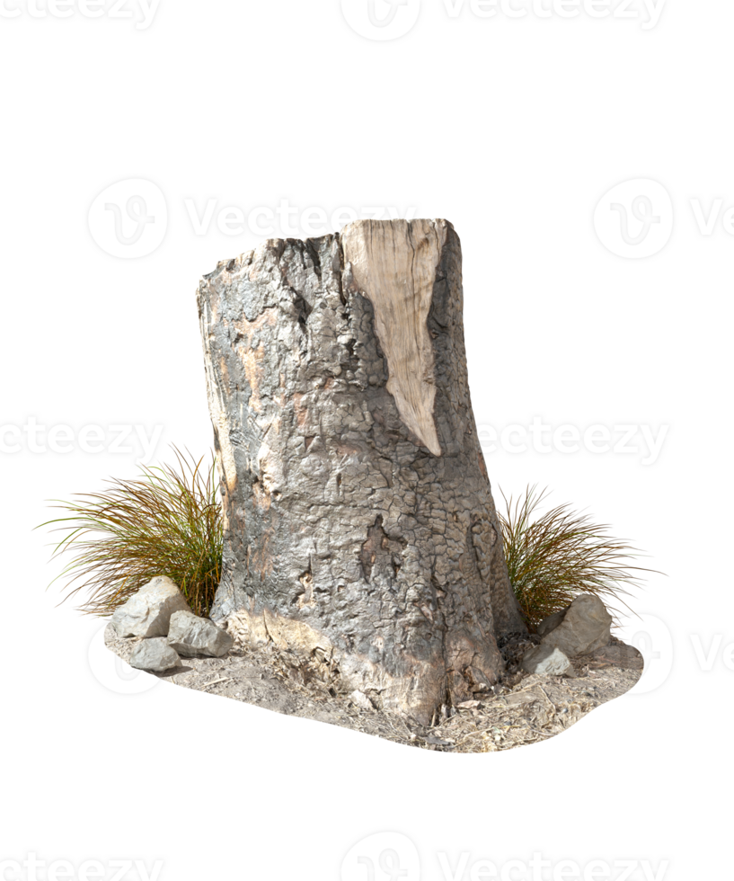 Bark stump dead tree clipart on transparent backgrounds 3d rendering file png