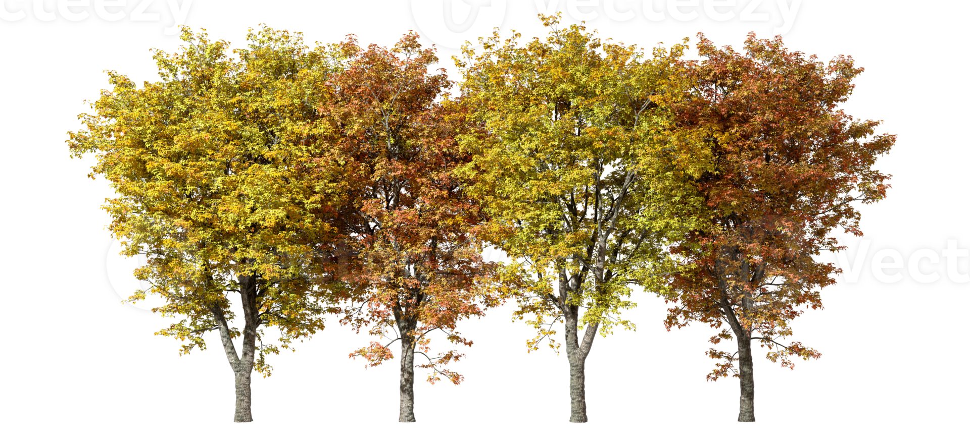 Autumnal forest trees yellow and orange row landscape cutout backgrounds 3d render png