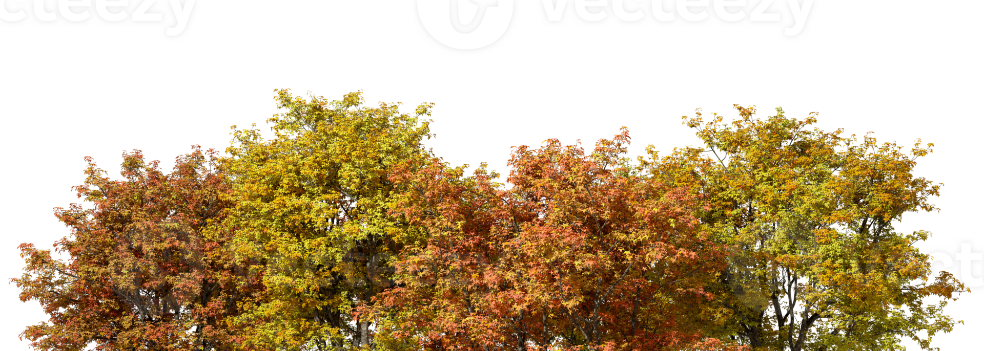 Vibrant autumnal trees jungle lined landscaping isolate backgrounds 3d render png