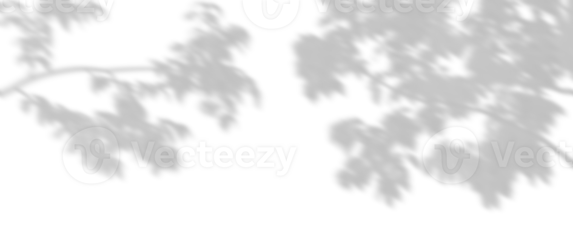Cutout shadow trees branches shade composition on transparent backgrounds 3d render png