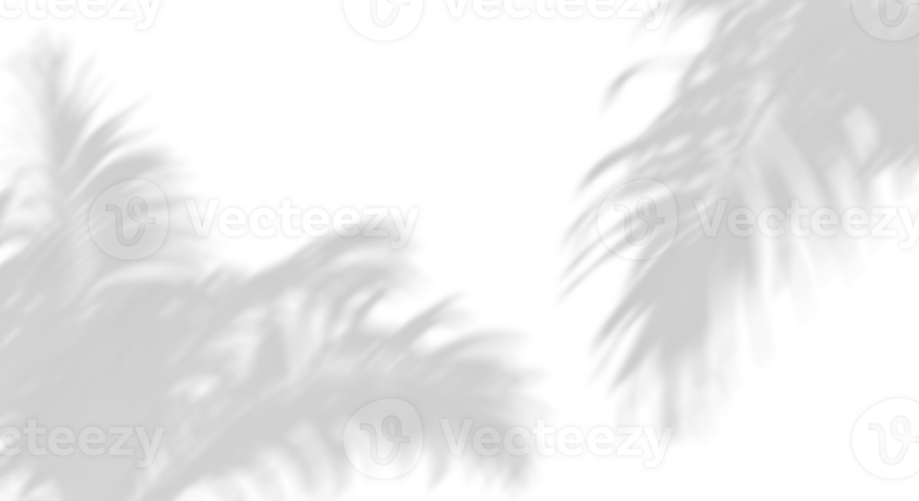 Sunshade grey shadow palm leafs movement on transparent backgrounds 3d render png