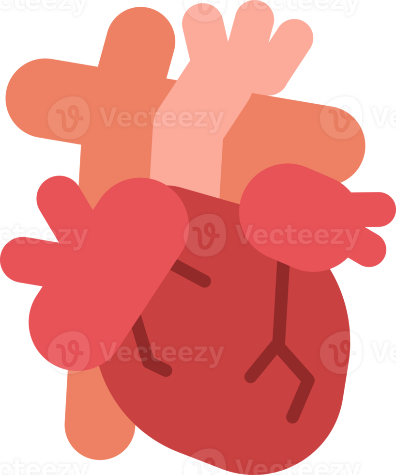 Flat Heart Organ Illustration png