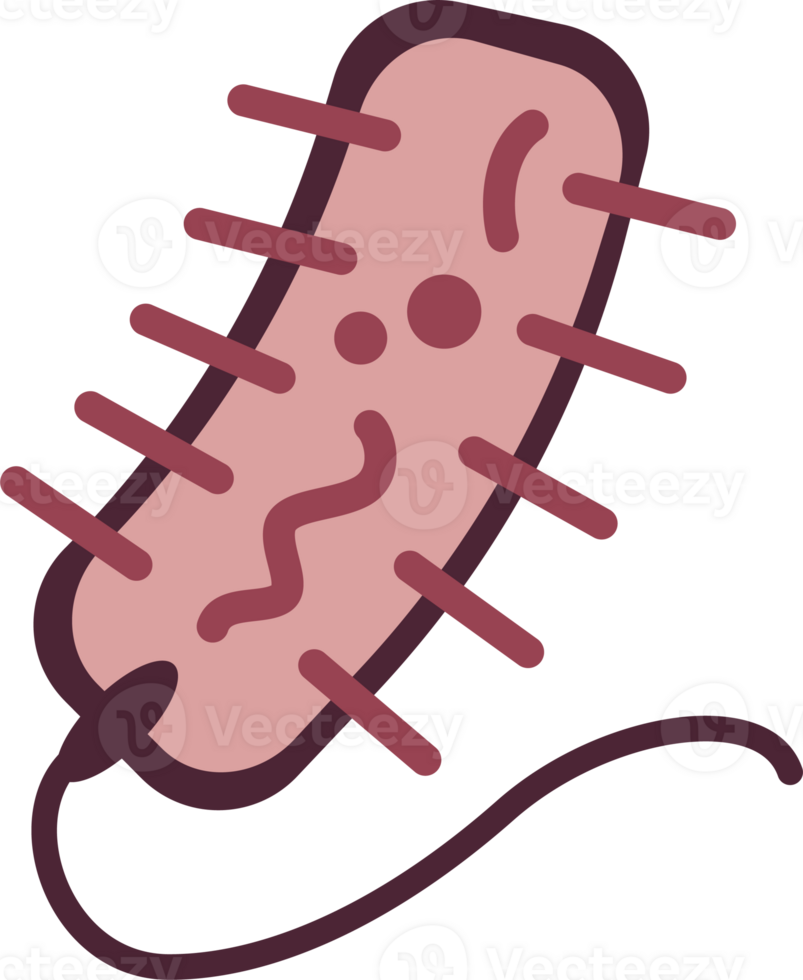 Bacteria Icon Soil Microorganism png