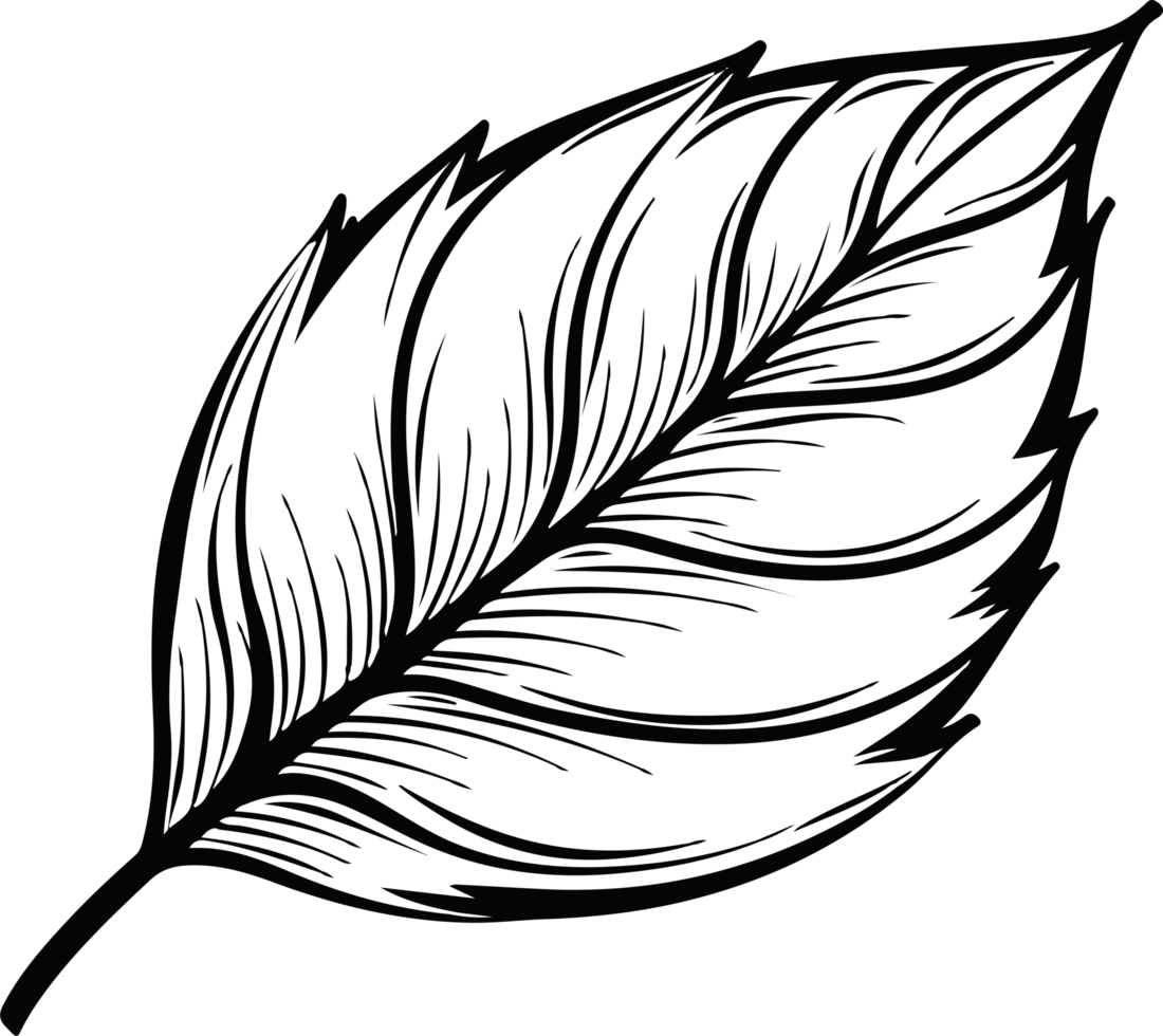Leaf clipart design illustration png