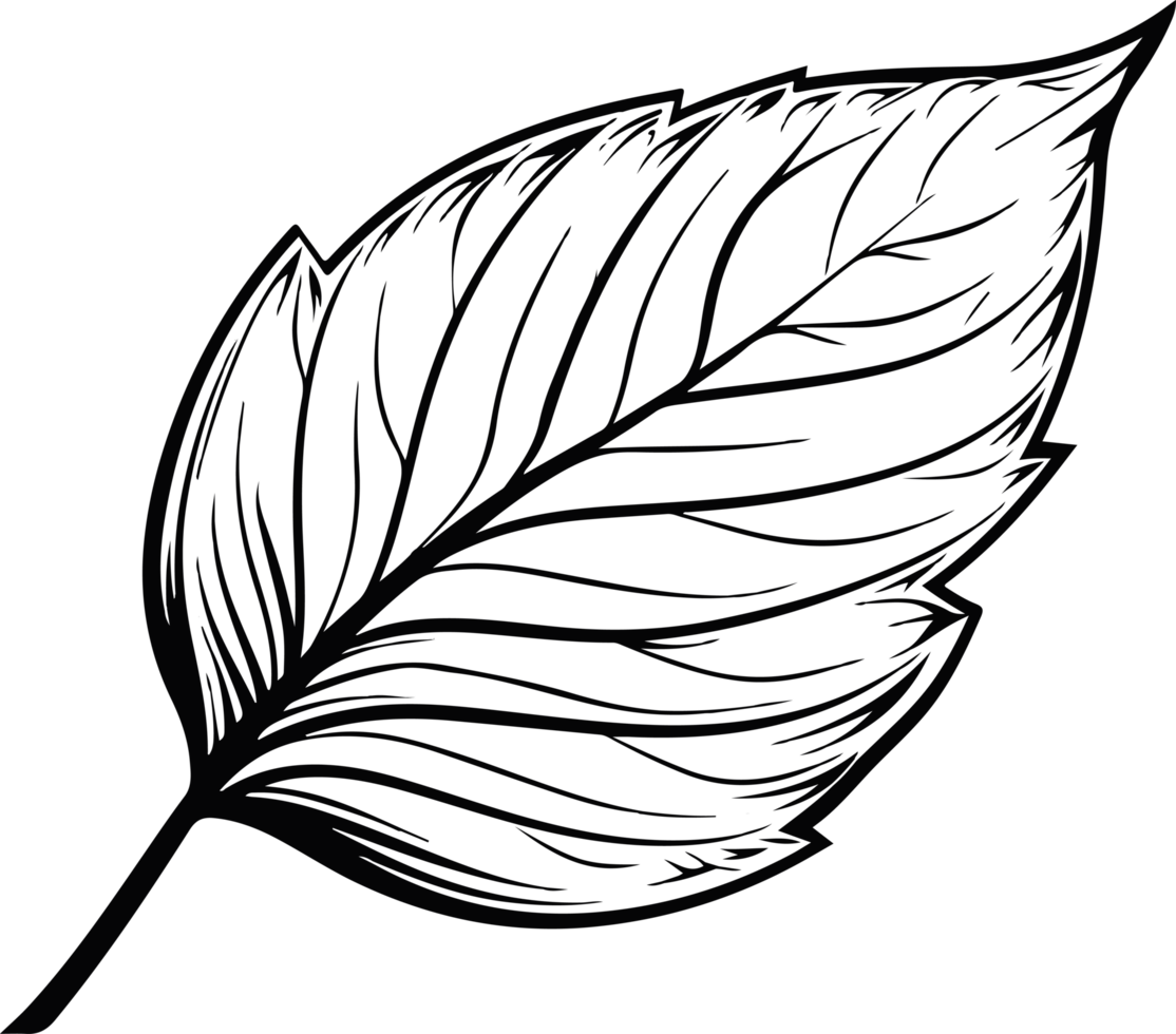 Leaf clipart design illustration png