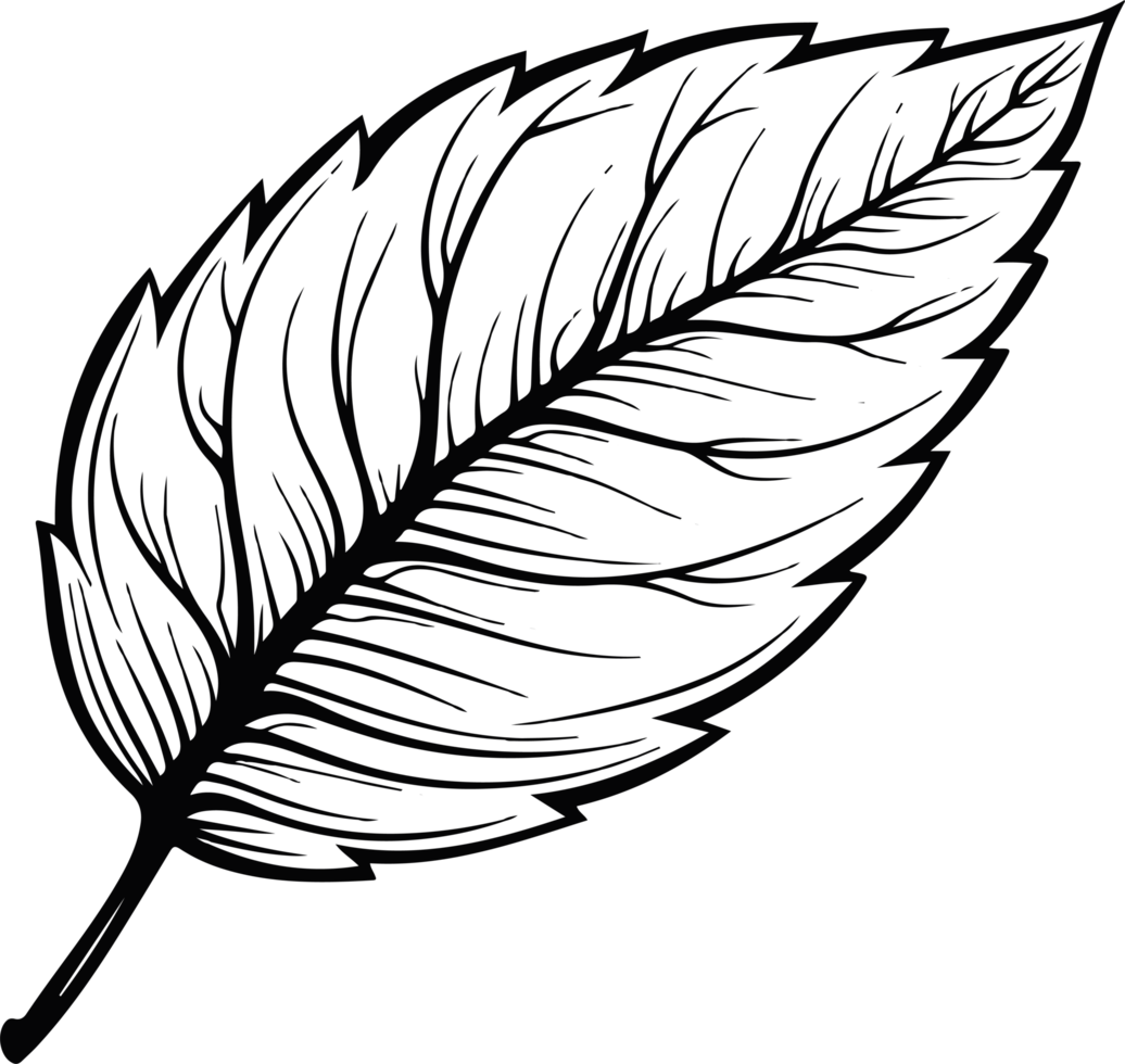 Leaf clipart design illustration png