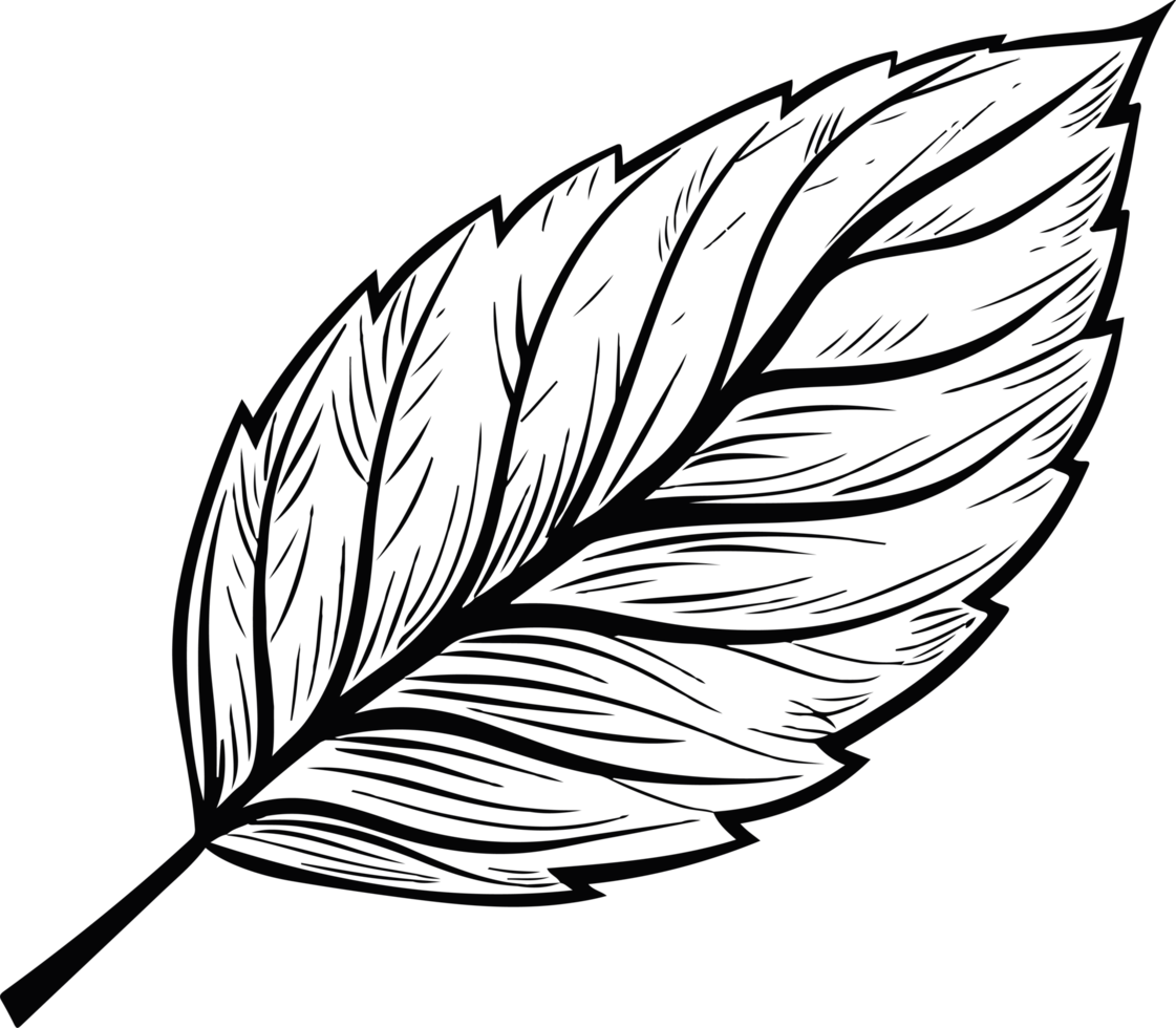 Leaf clipart design illustration png