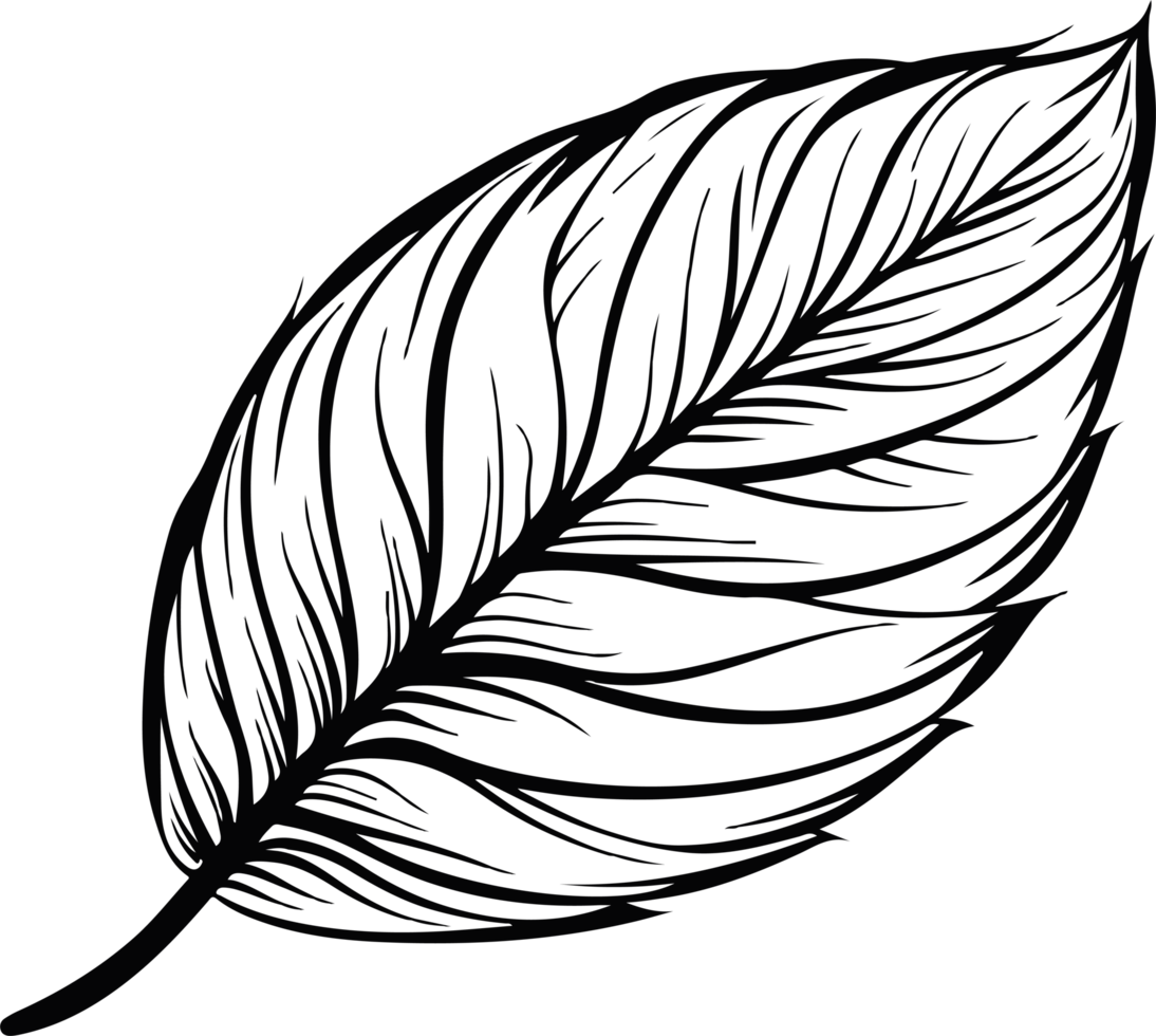 Leaf clipart design illustration png