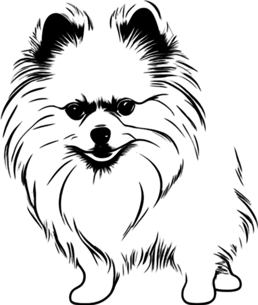 Adorable Pomeranian silhouette captures canine charm perfectly. AI-generated. png