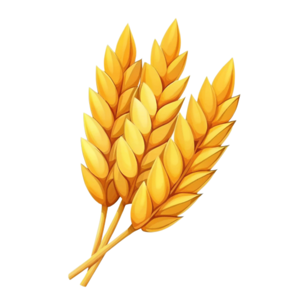 Wheat Crop Cartoon Illustration png