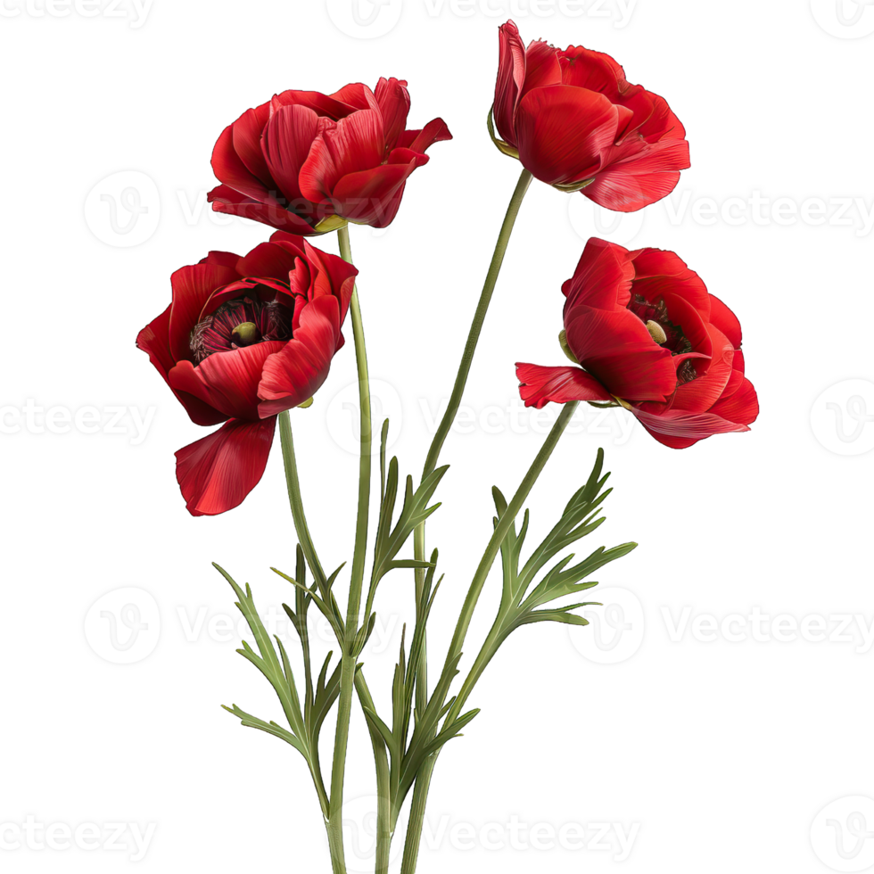 een levendig bloem png