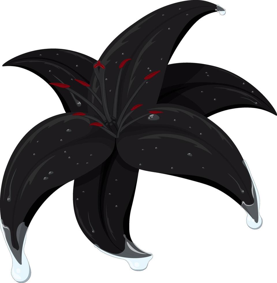 Black lily with dew drops on petals artistic illustration vector