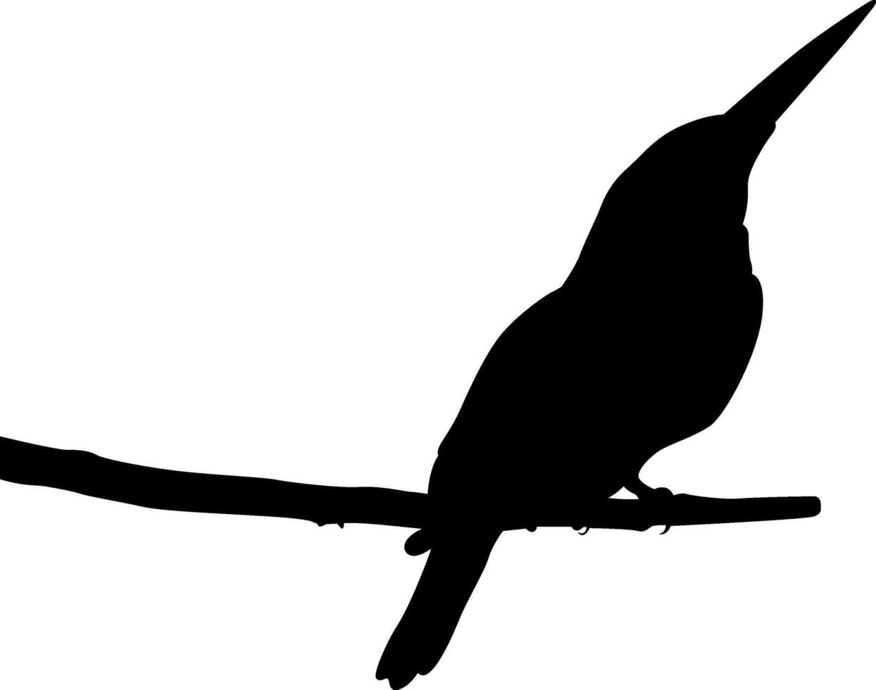 Silhouette a beautiful bird vector