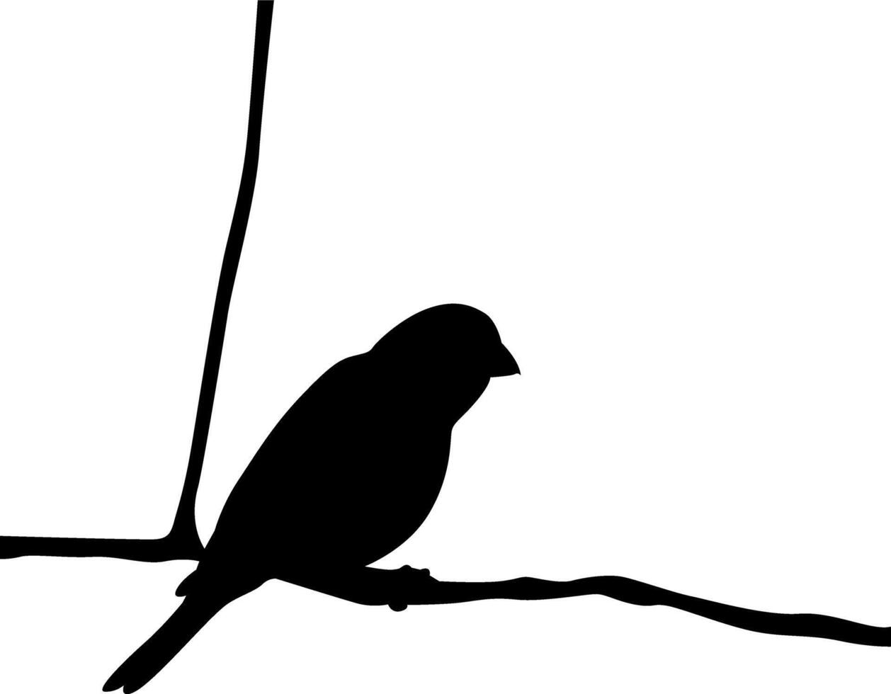 Silhouette a beautiful bird vector