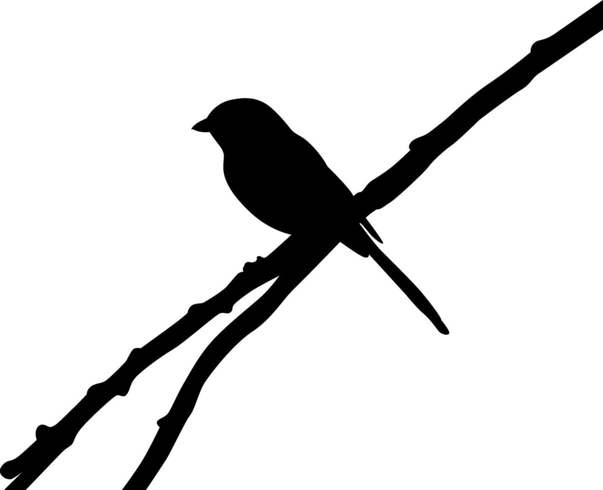 Silhouette a beautiful bird vector