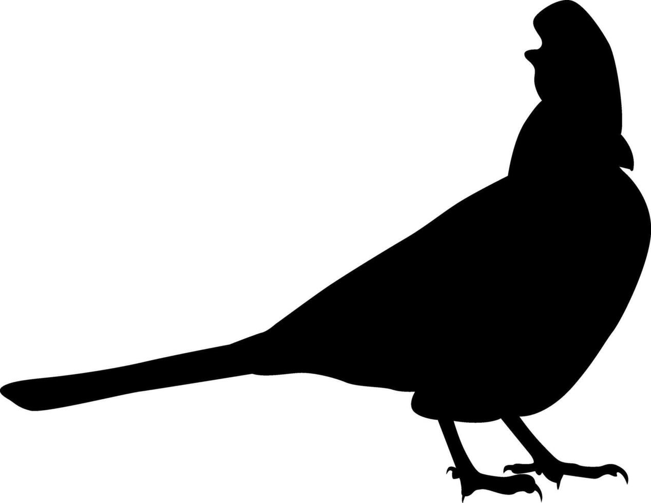 Silhouette a beautiful bird vector