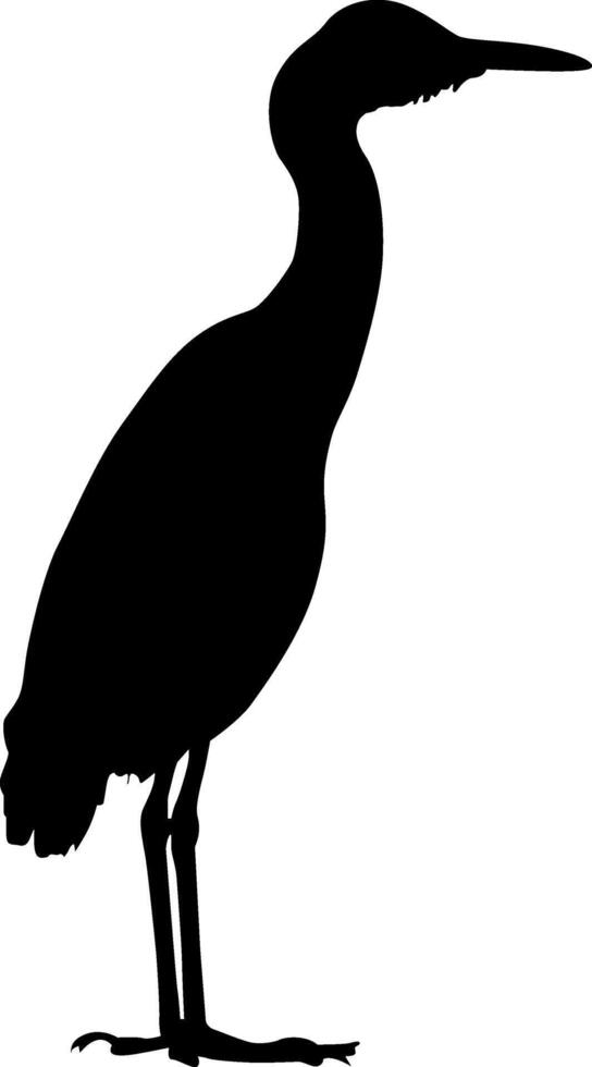 Silhouette a beautiful bird vector