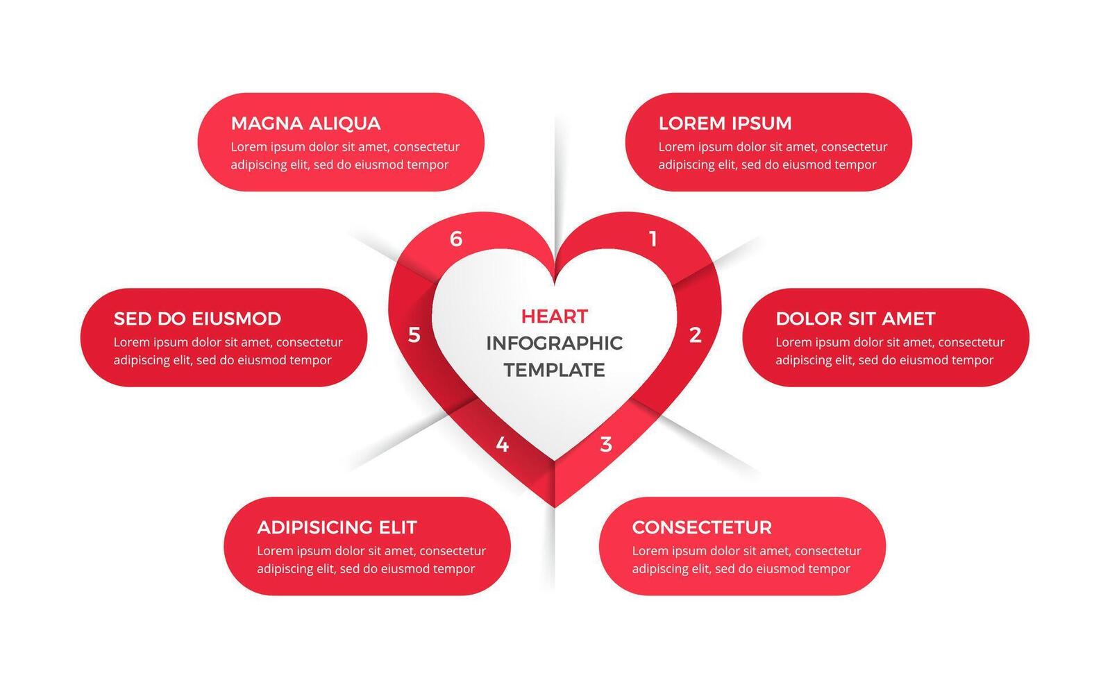 Infographic template with heart divided on six elements vector