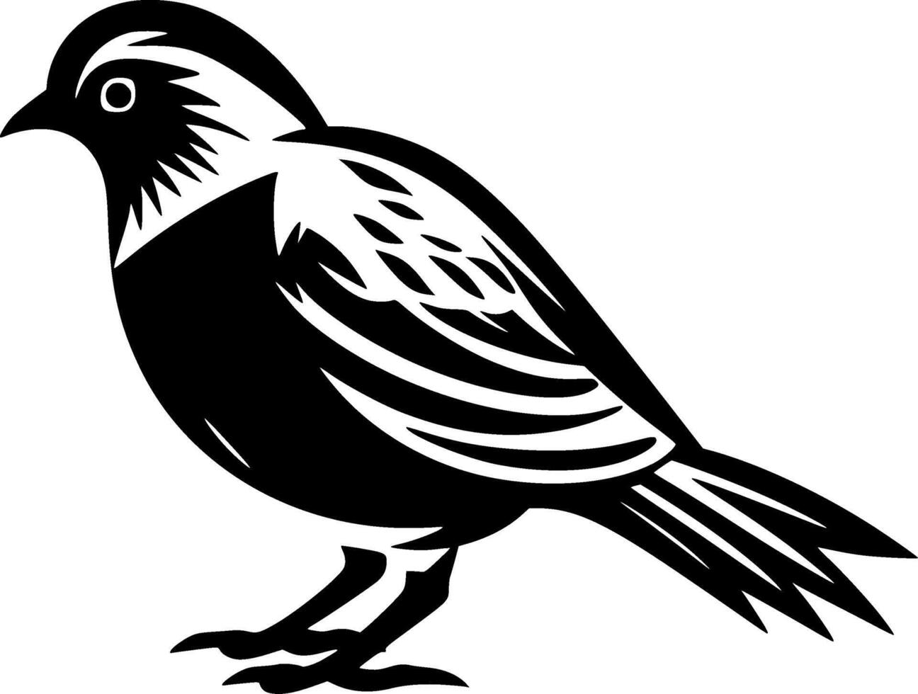 Pigeon, Black and White illustration vector