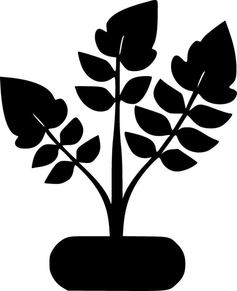 Plant, Black and White illustration vector