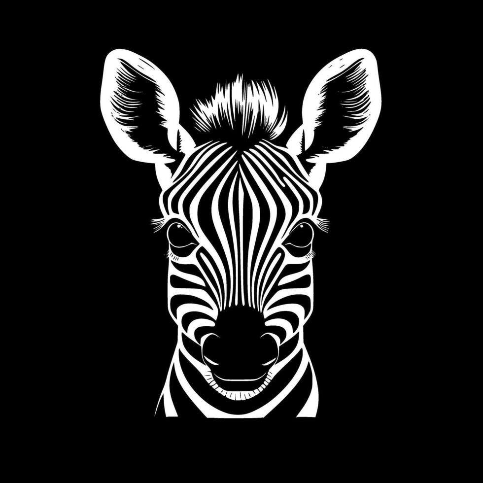 Zebra Baby, Black and White illustration vector