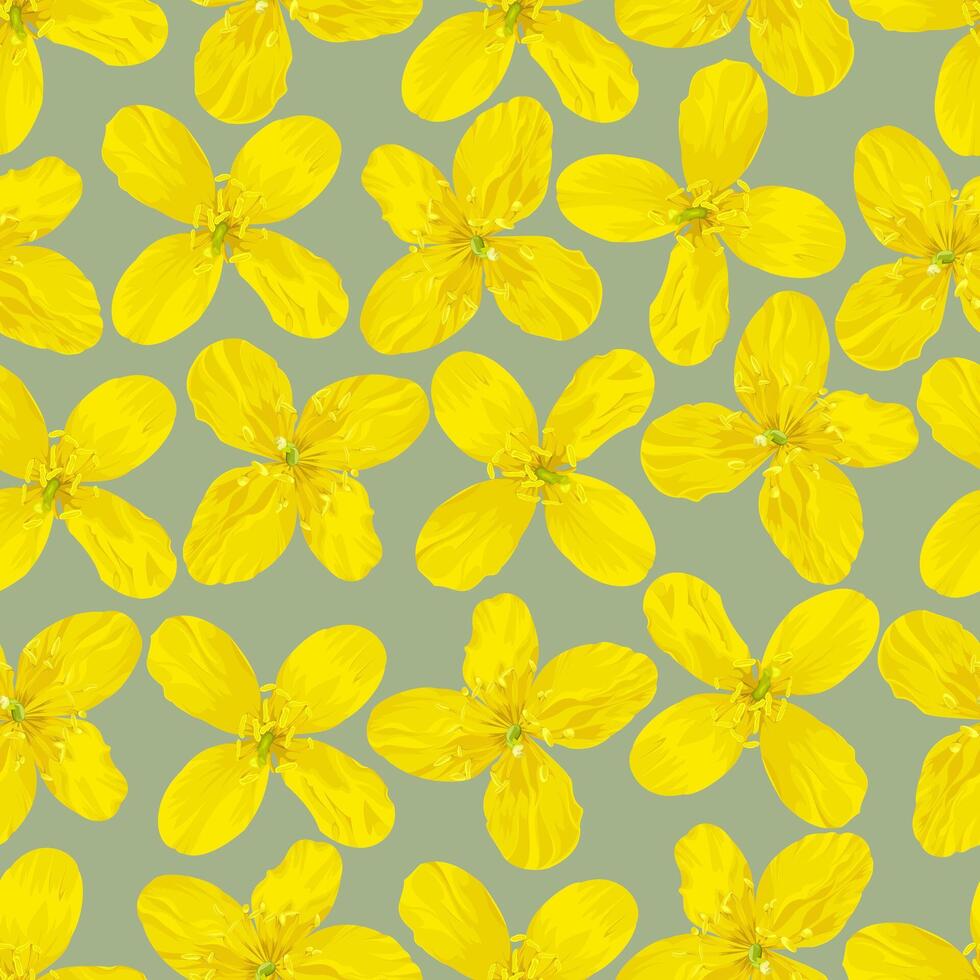 Seamless pattern of yellow celandine flowers on a gray background vector