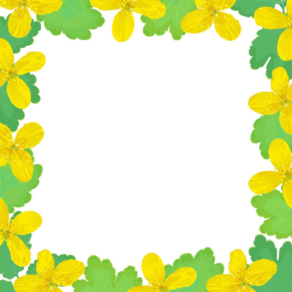 Square frame, pattern of celandine flowers on a white background vector