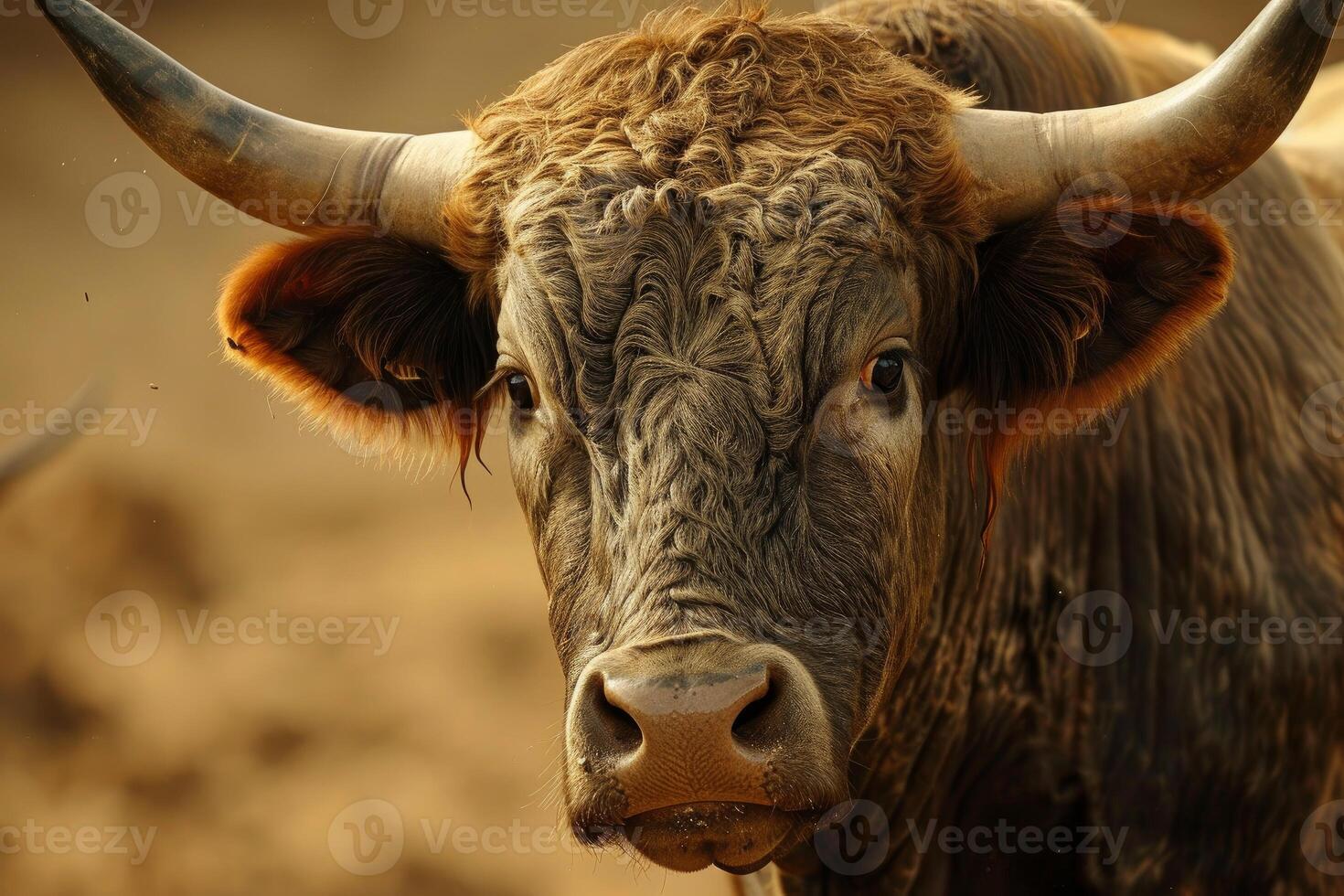 Majestic bull portrait in natural setting photo