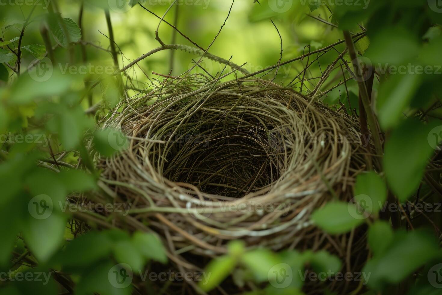 Fragile Bird nest. Generate Ai photo