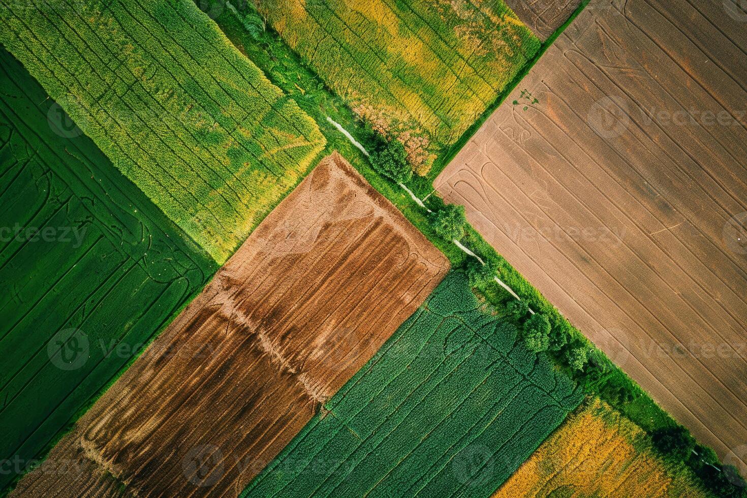 Aerial view of colorful agricultural fields photo