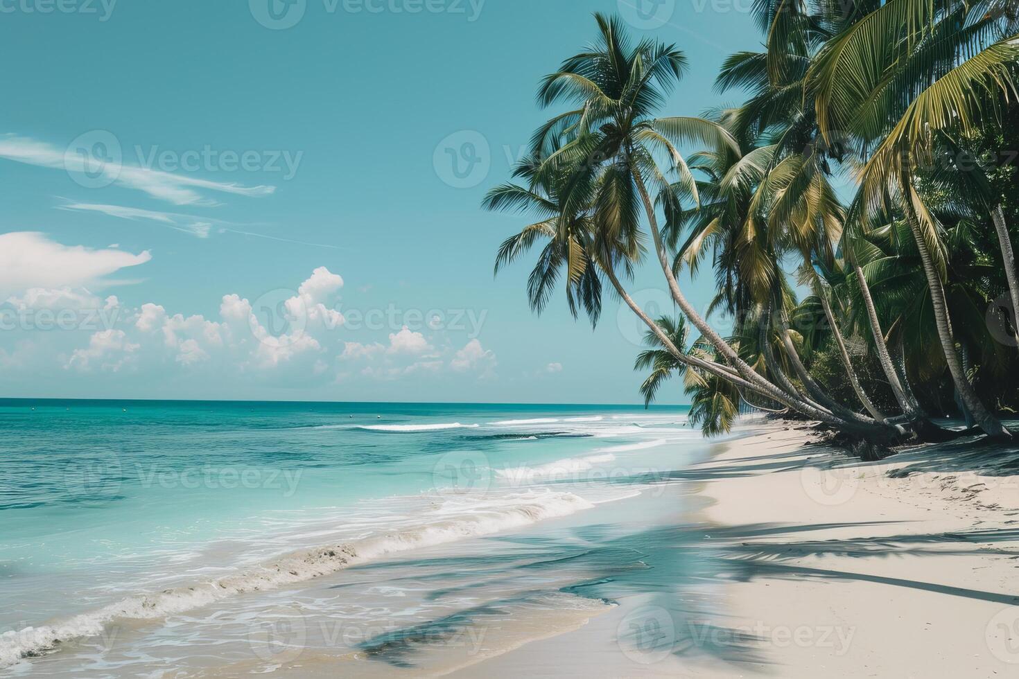 Tranquil sandy beach with lush palm trees and crystal clear ocean waves under a blue sky photo