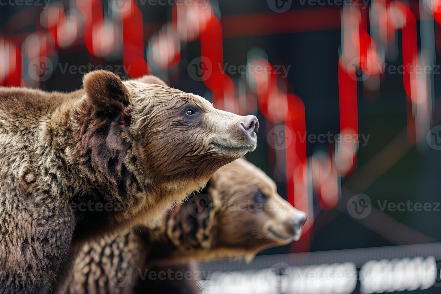 Two brown bears looking at red stock market chart representing bear market photo