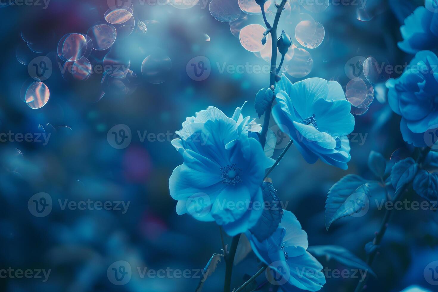 Beautiful blue flowers blooming in garden during spring season photo