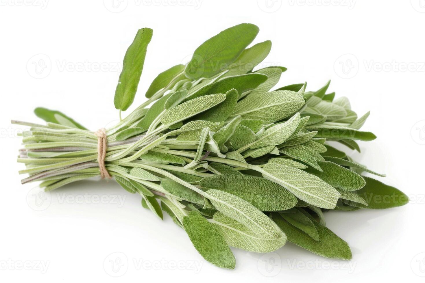 Fresh sage bundle lying on white background photo