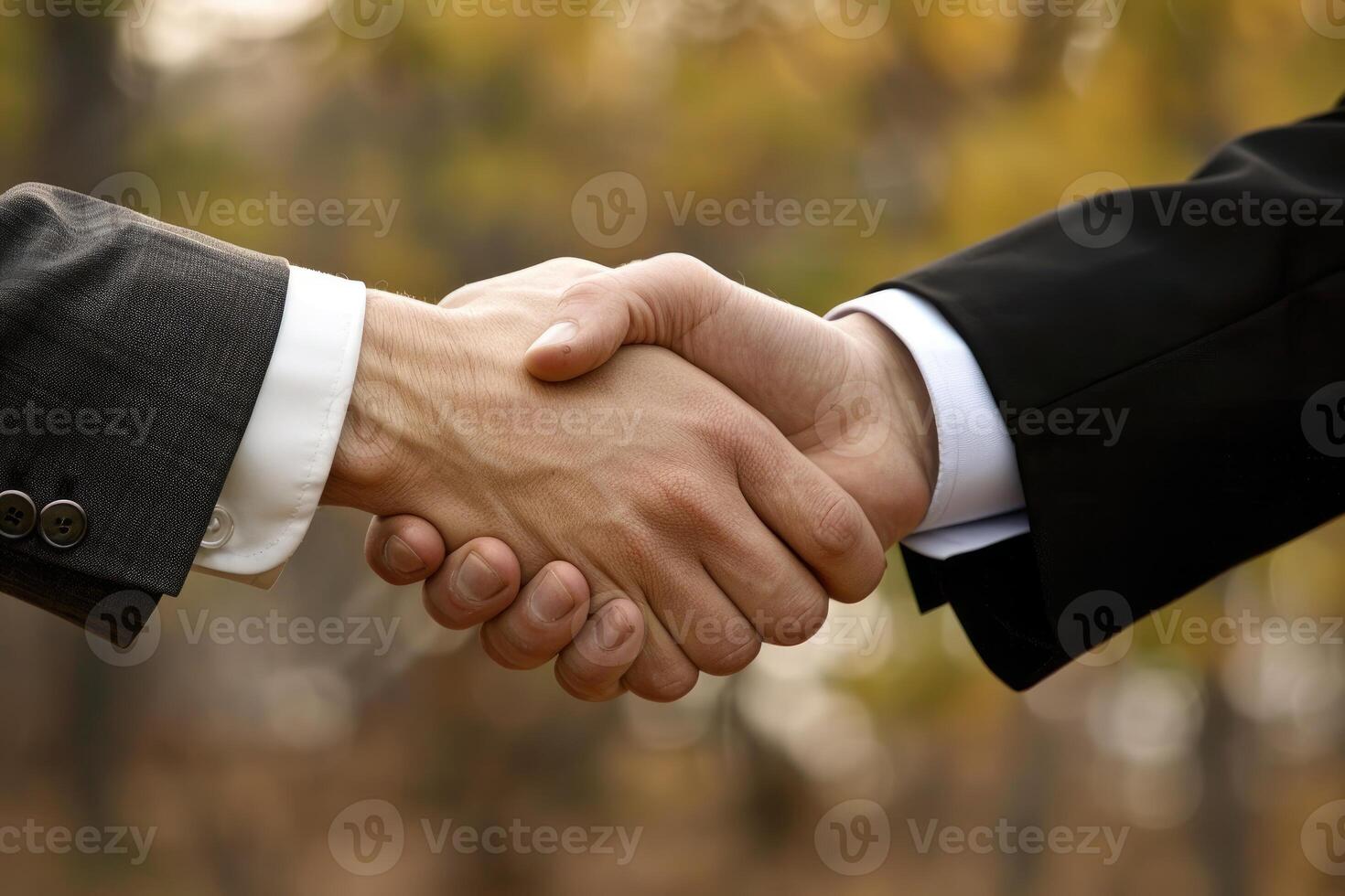 Two businessmen in suits shaking hands outdoors photo
