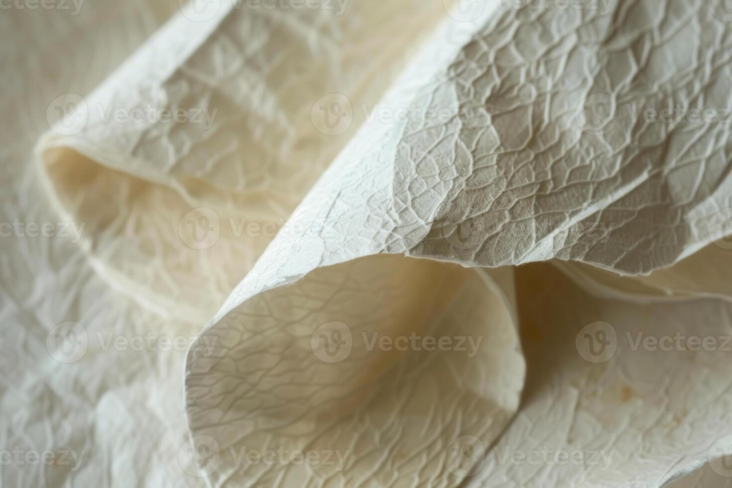 Closeup of a delicate, crinkled paper texture with natural light photo