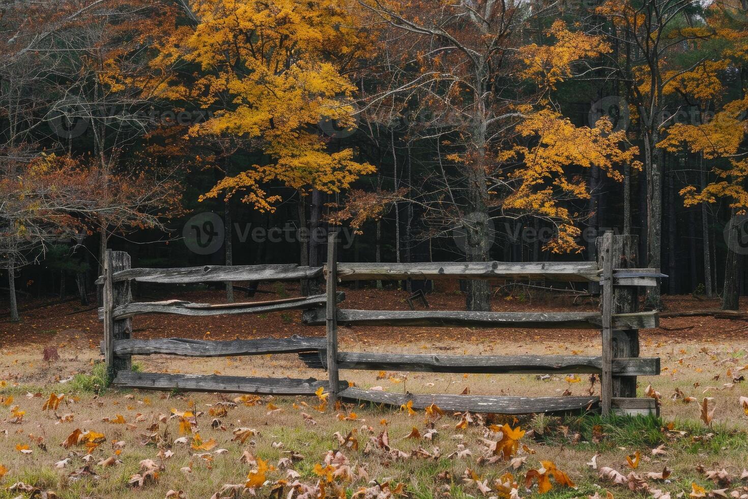 Rustic wooden fence in autumn forest photo
