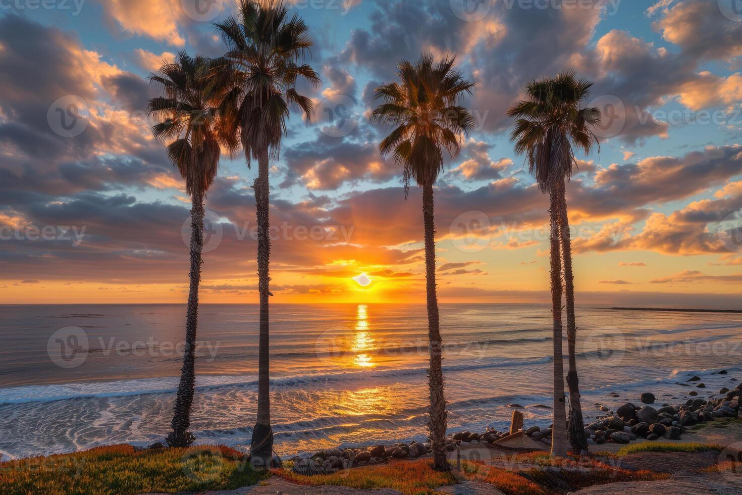 Tropical sunset with palms and ocean view photo