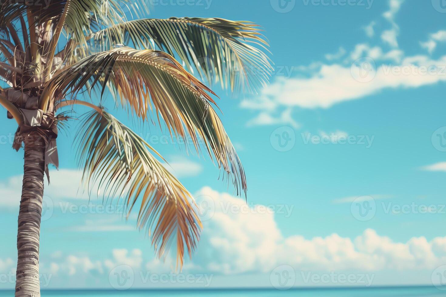 Single palm tree is swaying in the wind on a beautiful tropical beach photo