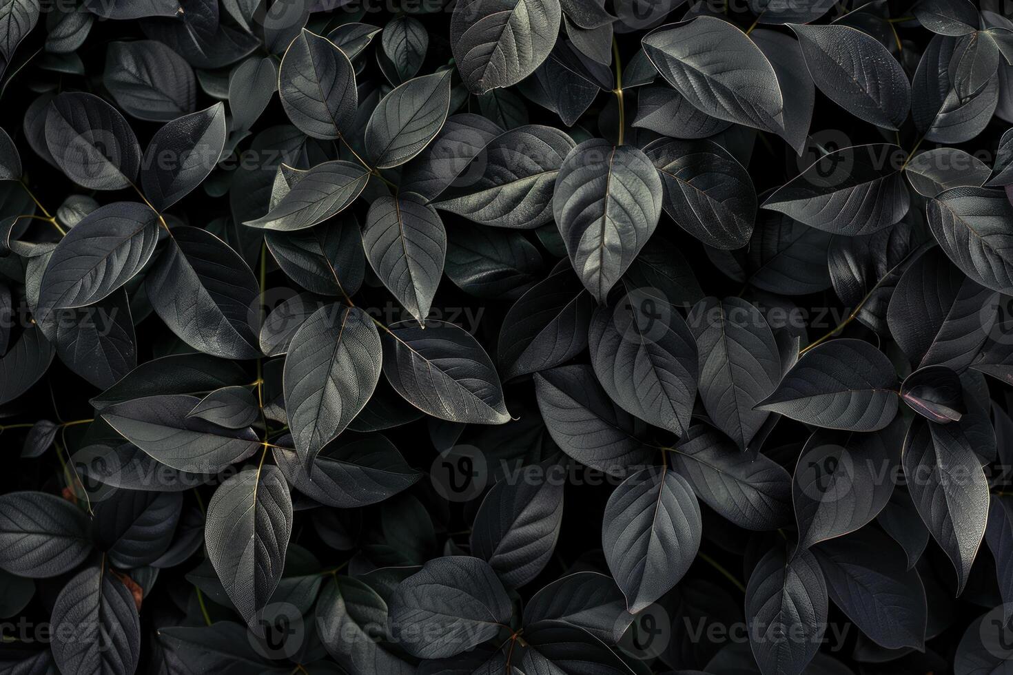 Dark floral background with densely growing leaves creating a natural pattern photo