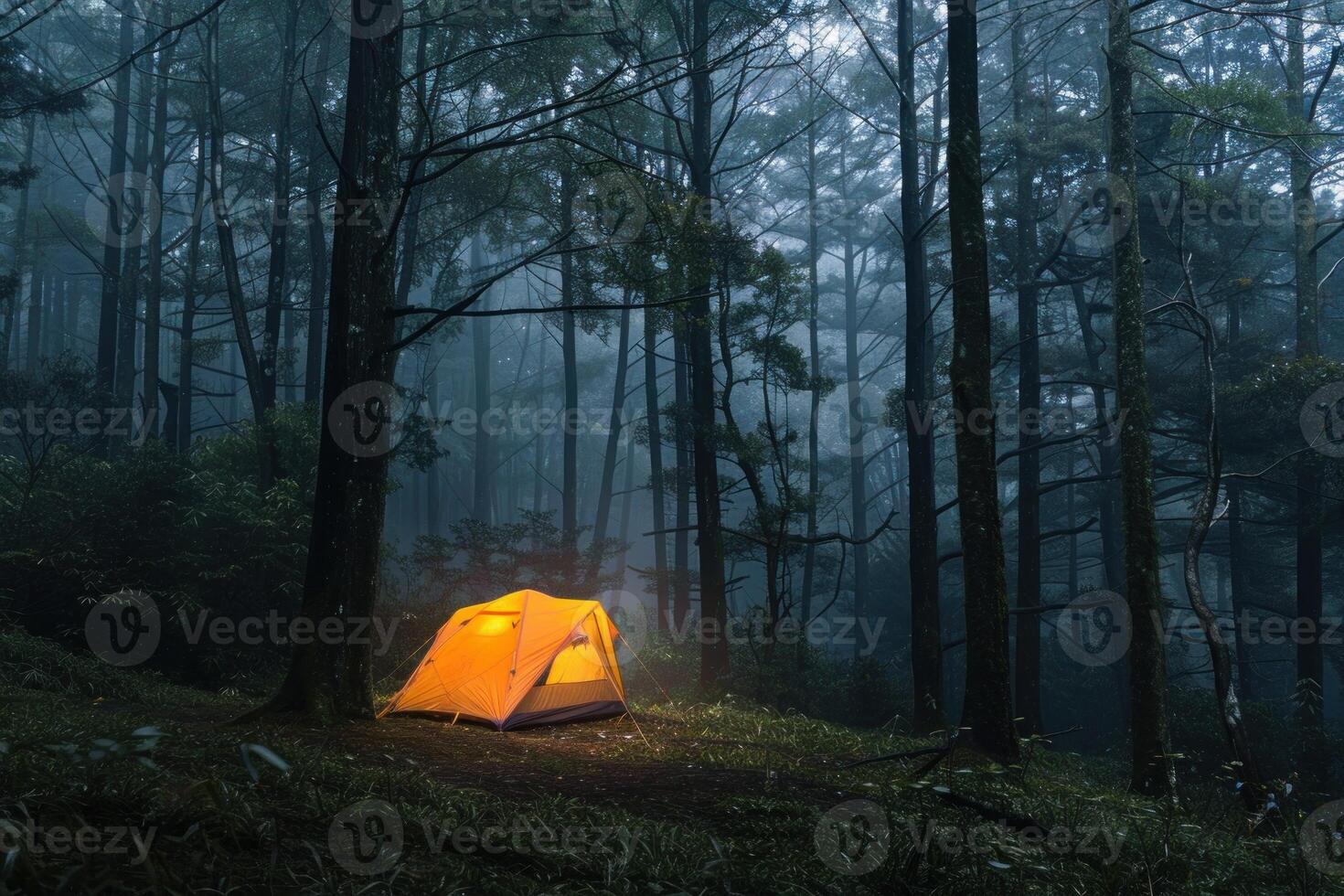 Illuminated tent camping under dark forest canopy at night photo
