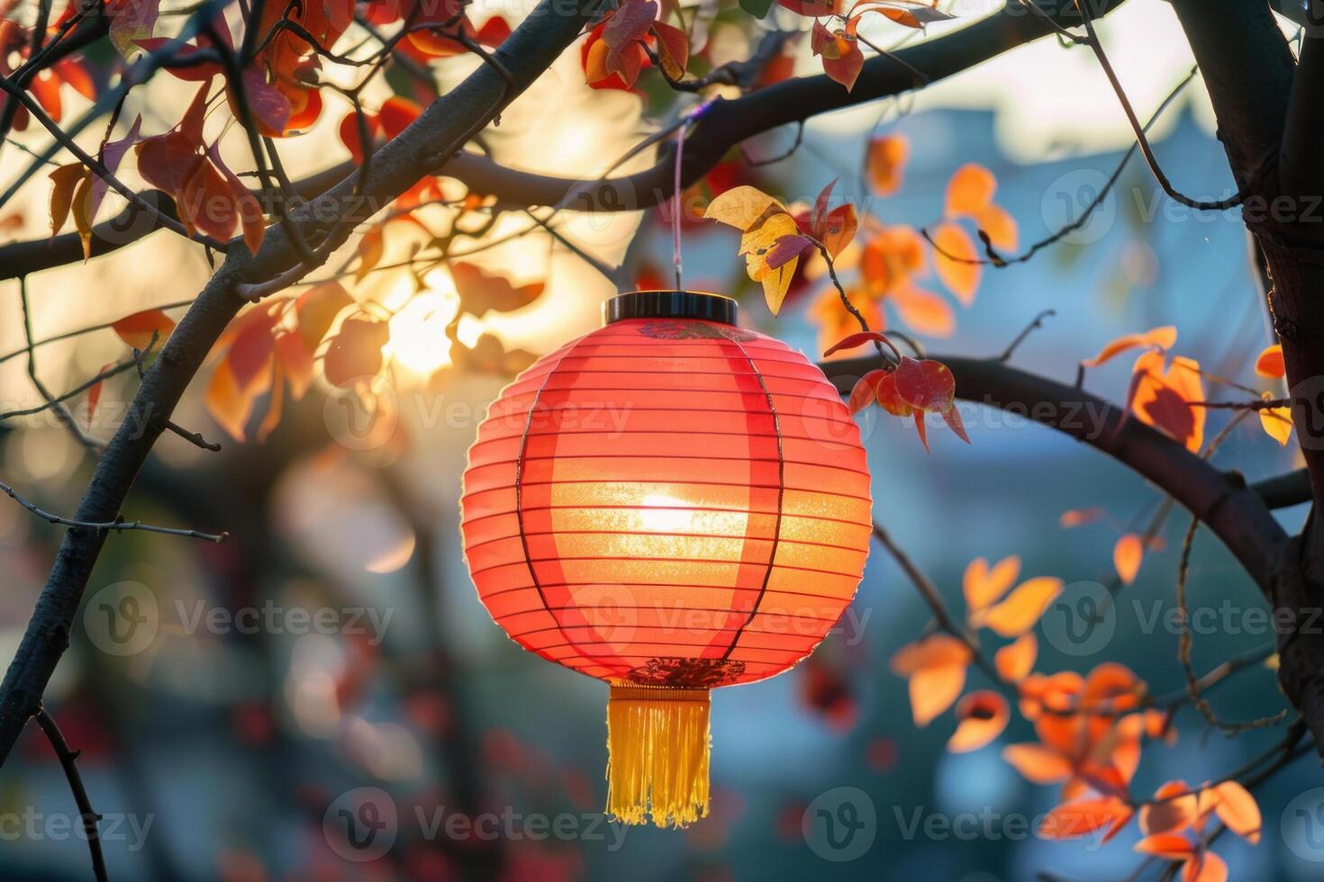 Red chinese paper lantern hanging from tree branch at sunset photo