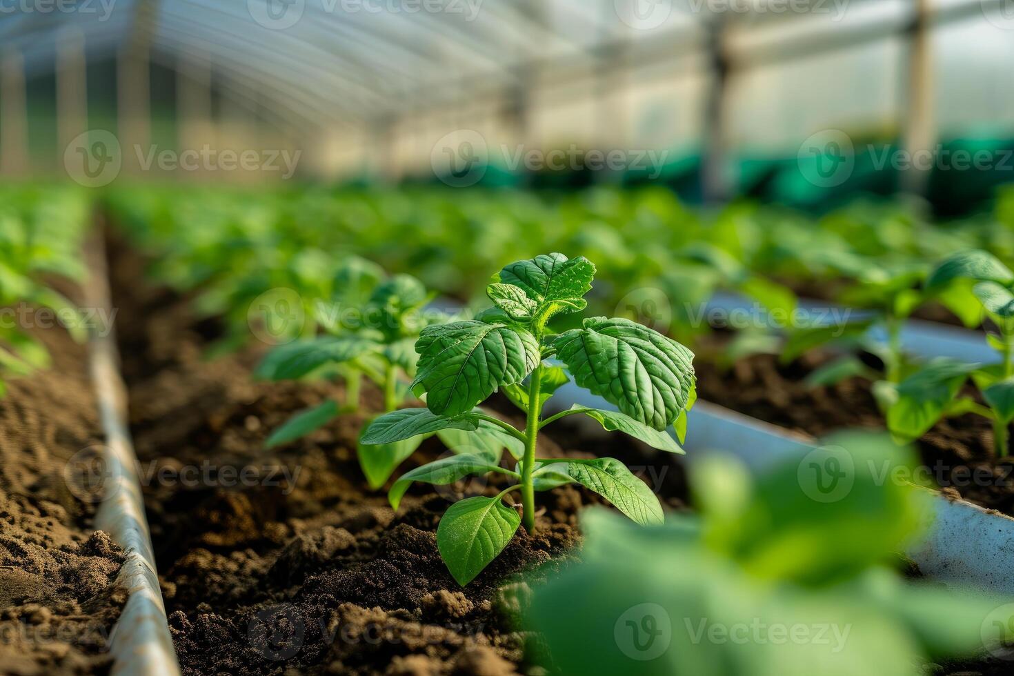 Scalable Agricultural technologies. Generate Ai photo