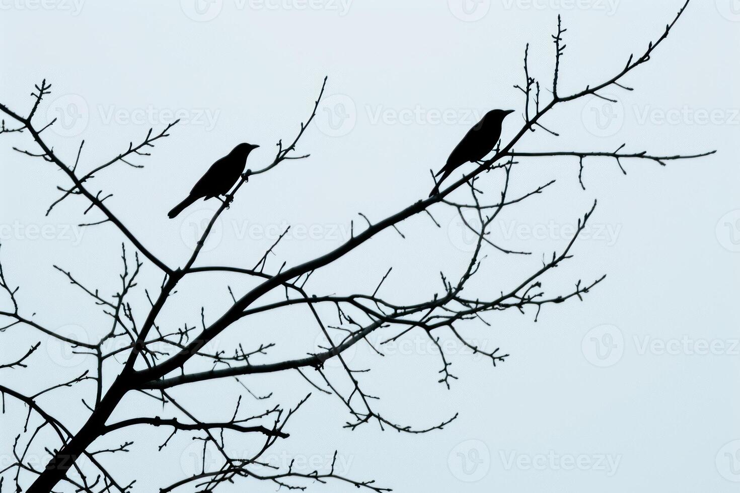 Verdant Birds tree branch wildlife. Generate Ai photo