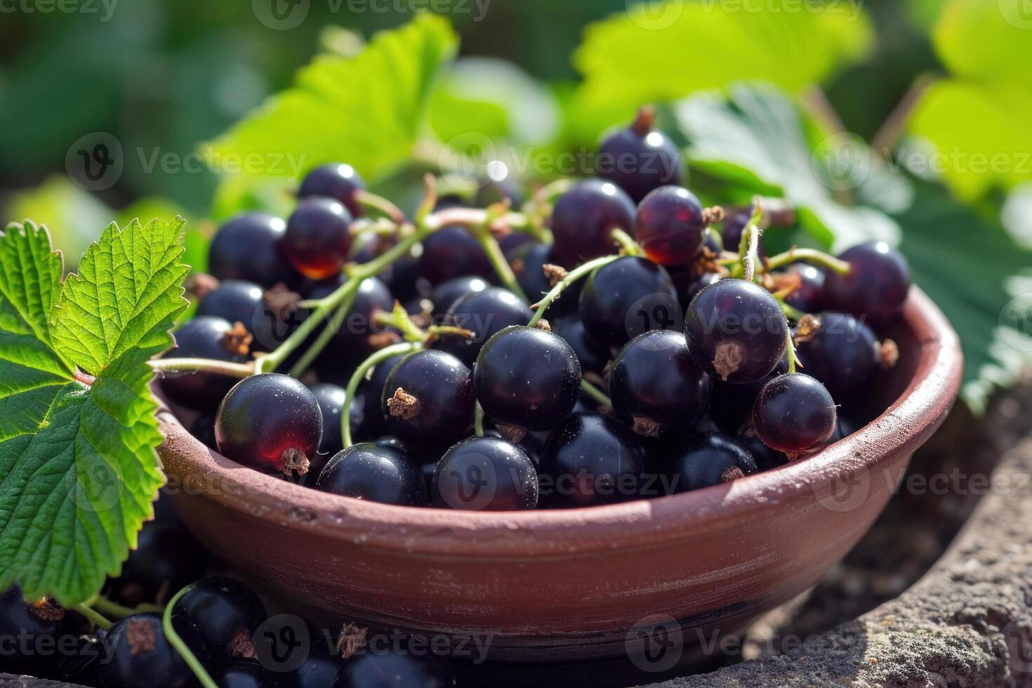 Succulent Black currant berries harvest. Generate Ai photo
