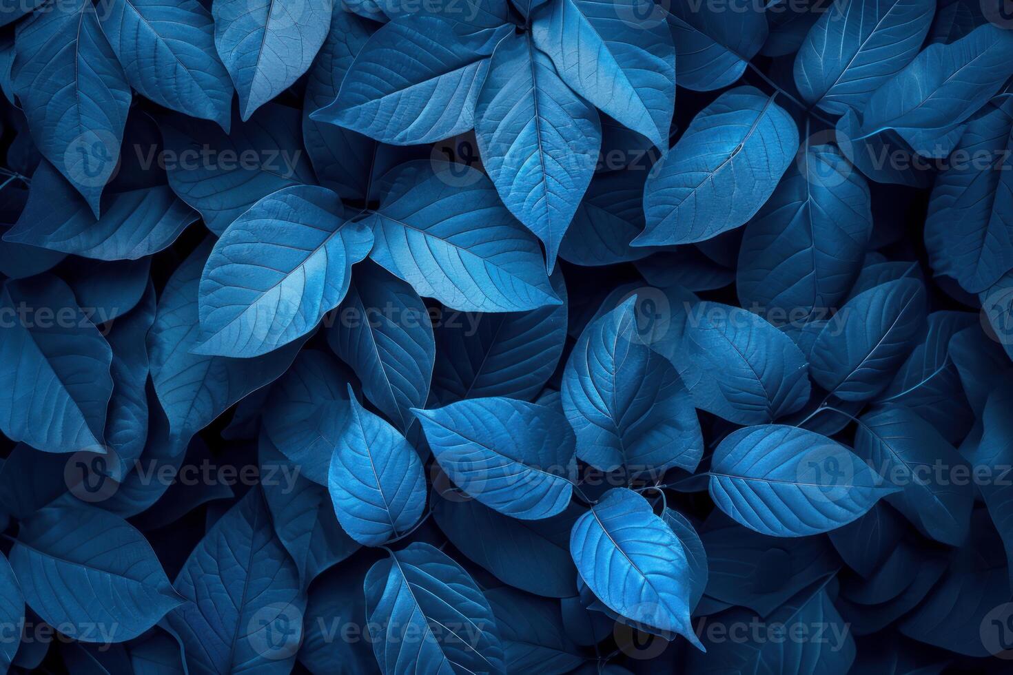 Tranquil and dense pattern of leaves with a soothing blue tone photo